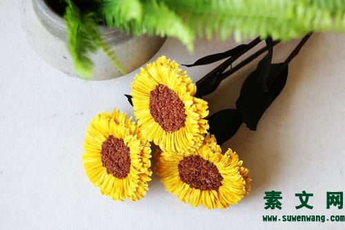 時間里開出青春的花