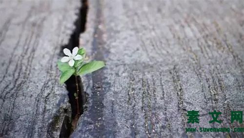 面對生活，直面逆境