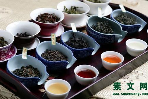 茶緣心語