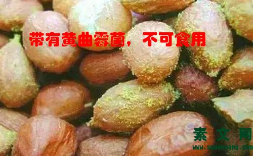 黃曲霉菌相關常識