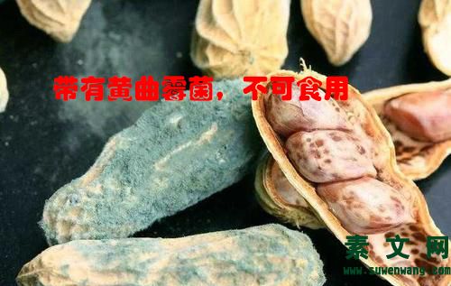黃曲霉菌相關常識