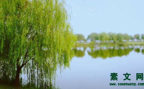春之美