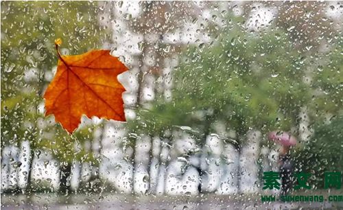 秋雨賞析
