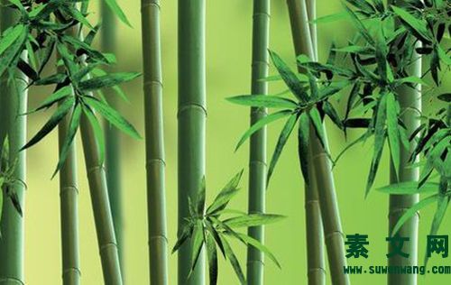 梅蘭竹菊詩詞