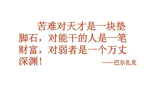 苦難是一筆財富作文