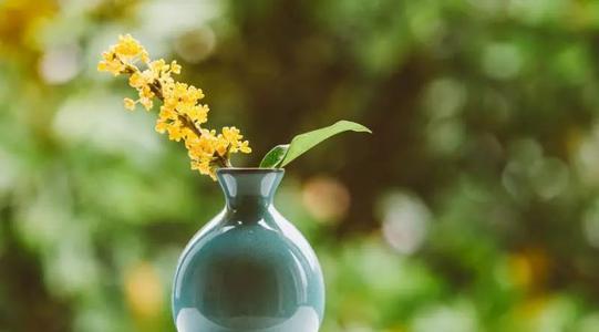 調(diào)整心態(tài)激勵(lì)人的句子精選40句