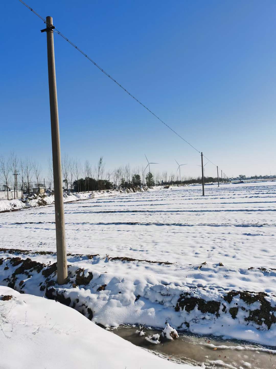 雪景