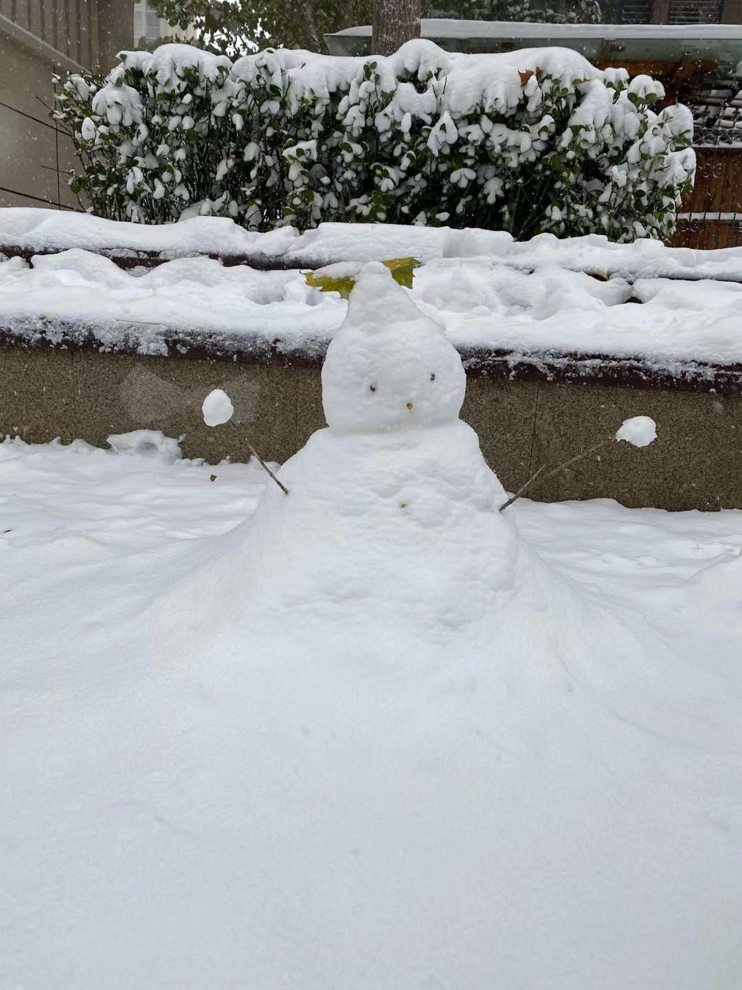 冬天堆雪人圖片