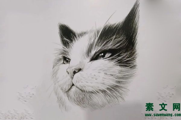 畫素描會(huì)用到的工具有哪些
