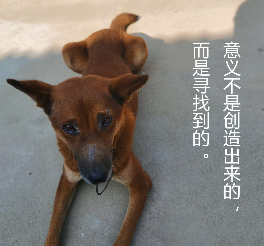 意義不是創造出來的， 而是尋找到的。