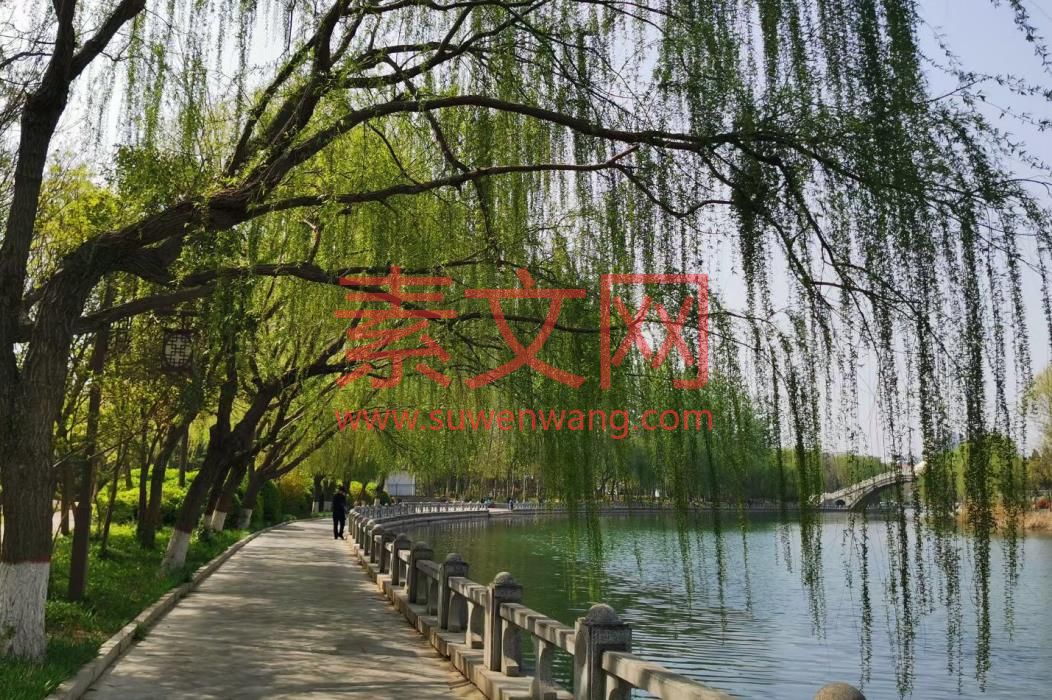 家長督學心得體會