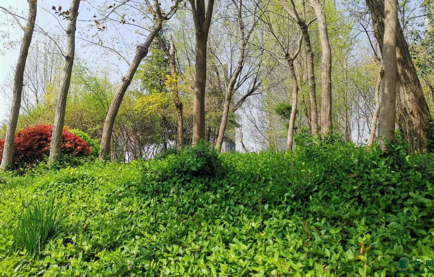 最是時光正好，莫負年華活出彩