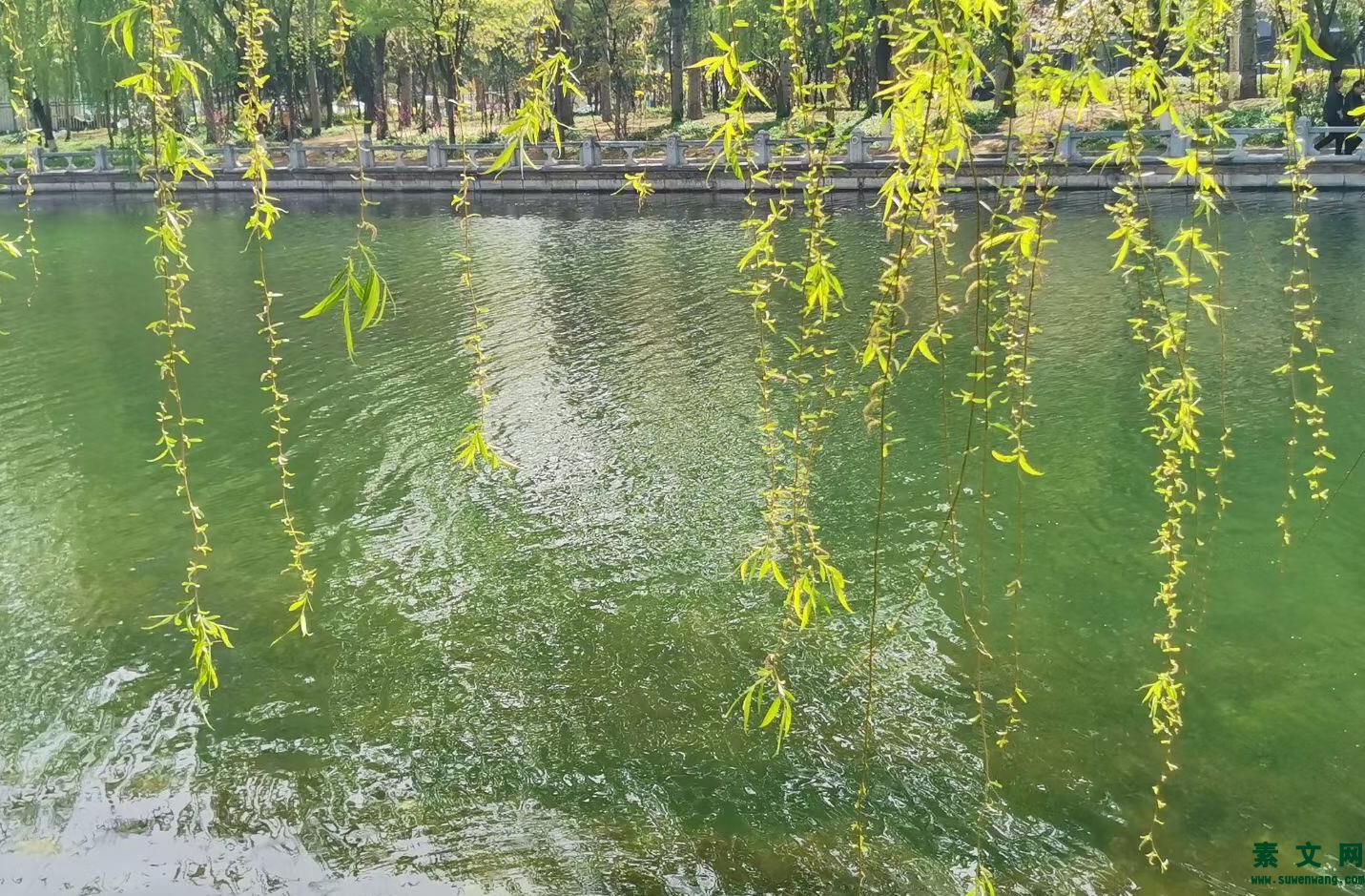 愿你在春暖花開的季節，莫負相遇