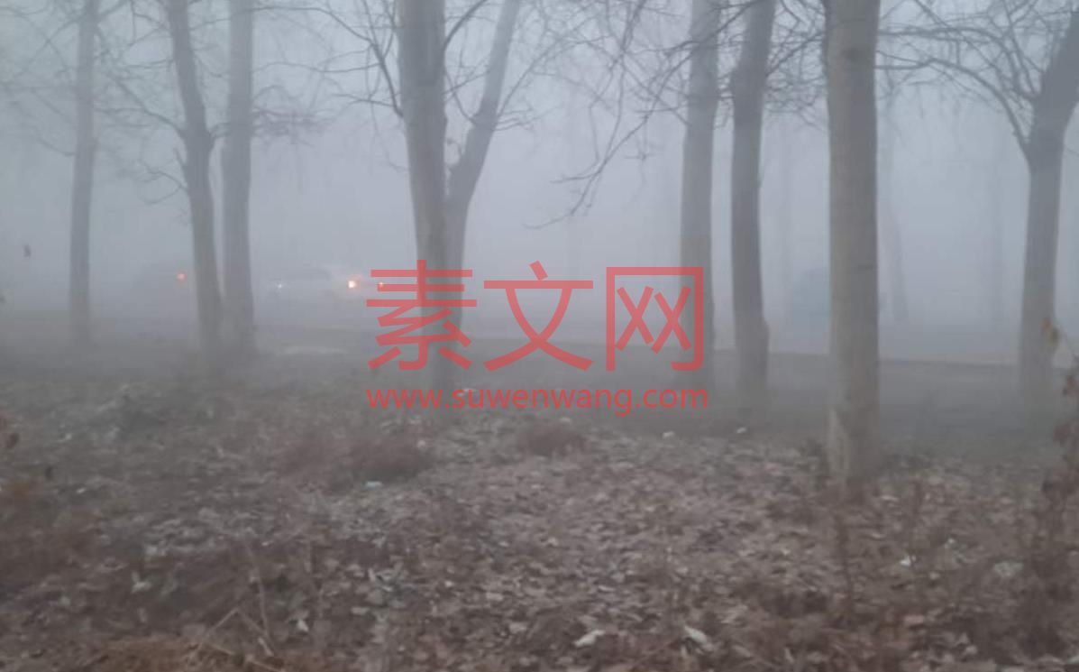 白兔搗藥秋復春，嫦娥的句子