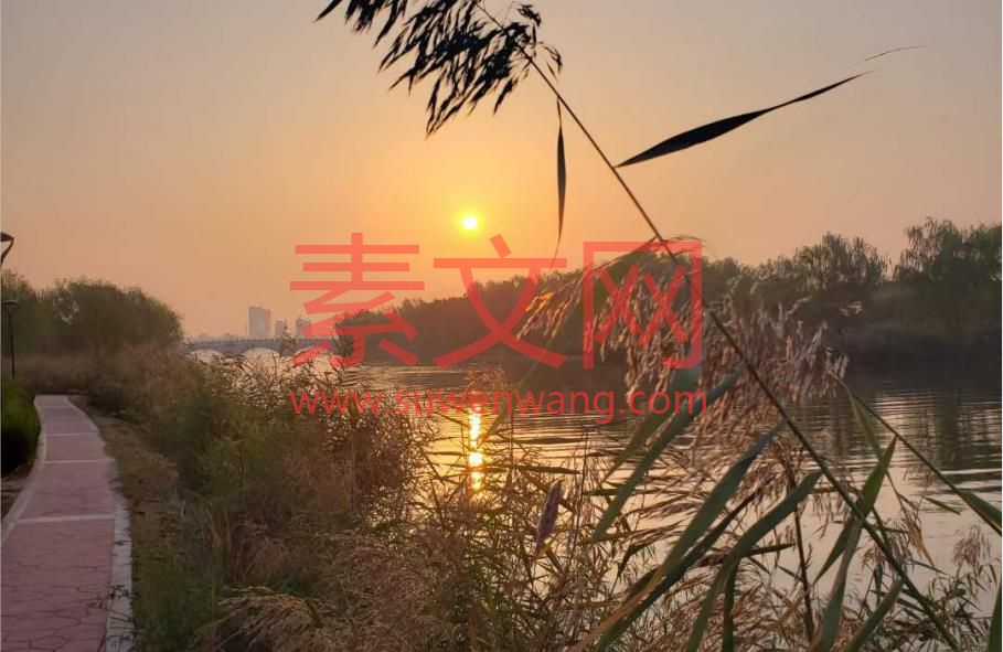 熟讀之法，于循序而漸進，熟讀而精思，關于讀書的名言