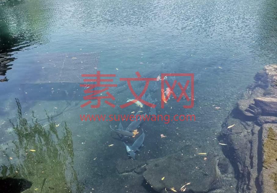 可以改變生活的小習(xí)慣