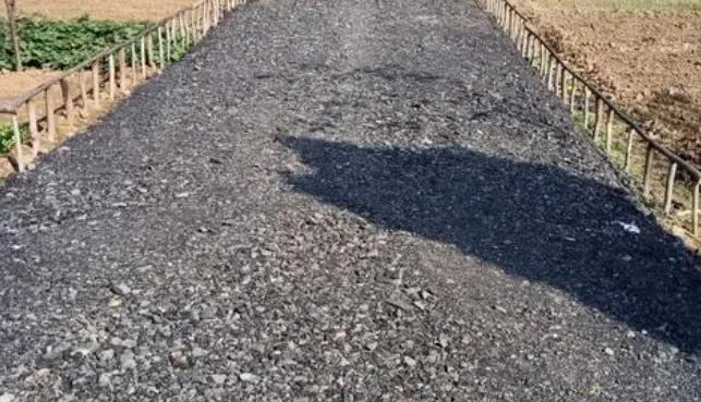 撥開迷霧，重塑新生