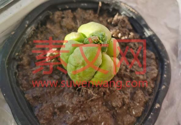 上班是一場戲，別內耗自己