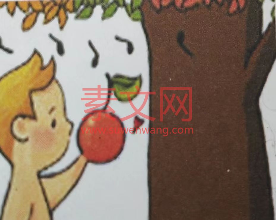 小男孩和樹的故事