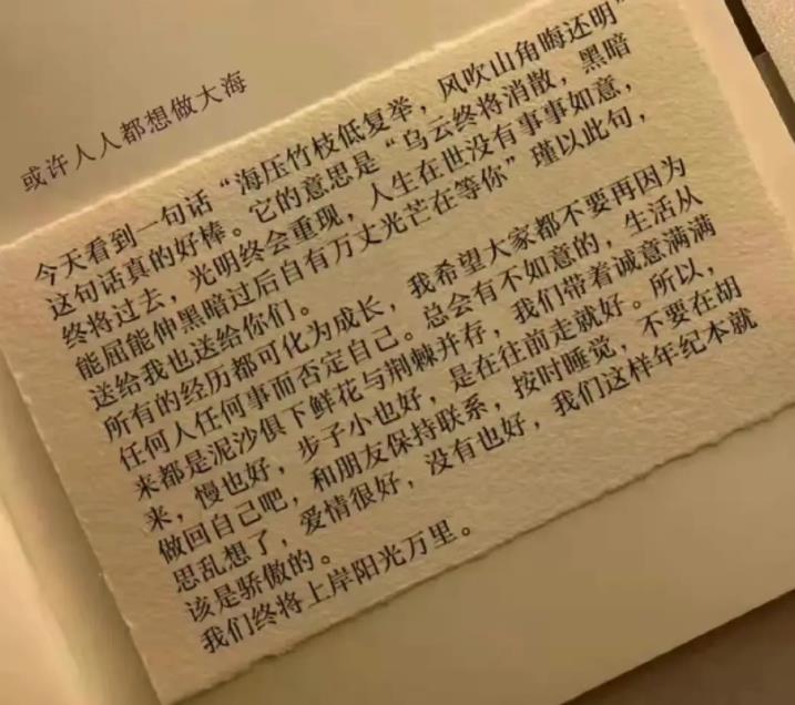 海壓竹枝低復(fù)舉，風(fēng)吹山角晦還明感悟400字